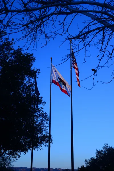 DSC_1165 (Large).JPG